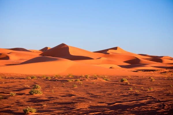 Circuit Voyage en liberté, de Marrakech aux dunes de Merzouga pas cher photo 3