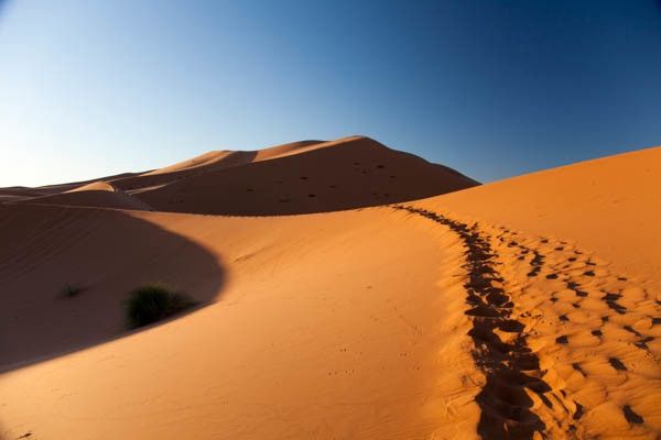 Circuit Voyage en liberté, de Marrakech aux dunes de Merzouga pas cher photo 4