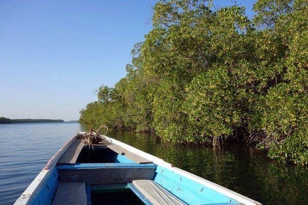 Circuit Au coeur du Sénégal et ses mangroves pas cher photo 3