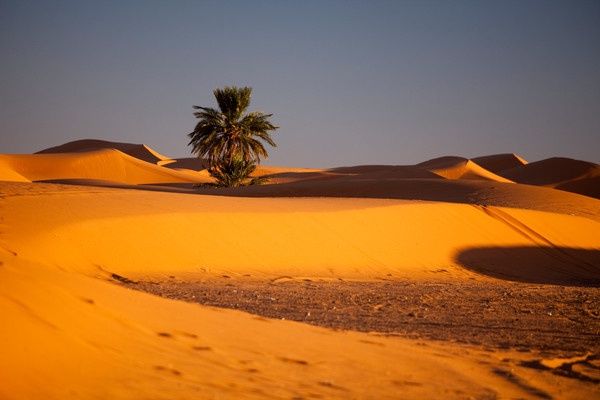 Circuit Marrakech et désert de Merzouga pas cher photo 9