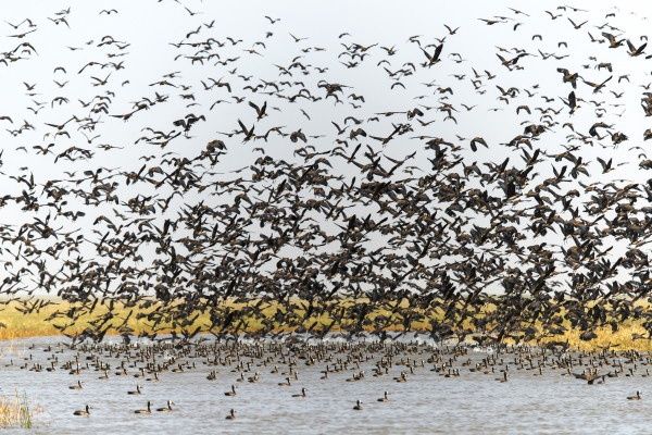 Circuit Authentique Sénégal, pays de la Teranga pas cher photo 8