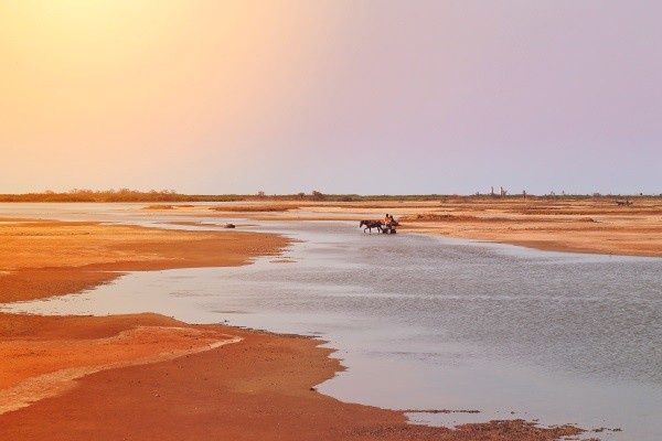 Circuit Authentique Sénégal, pays de la Teranga pas cher photo 9