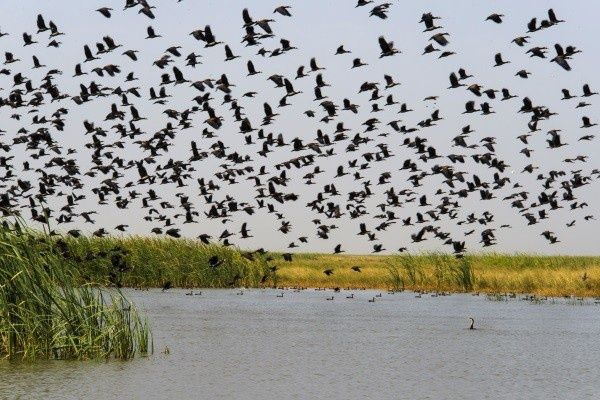 Circuit Authentique Sénégal, pays de la Teranga pas cher photo 10