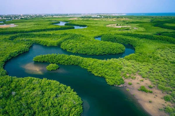 Circuit Sud Sénégal pas cher photo 1