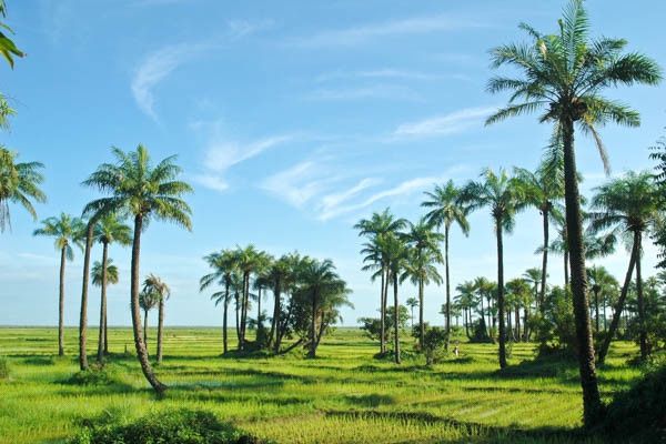 Circuit Sud Sénégal pas cher photo 3