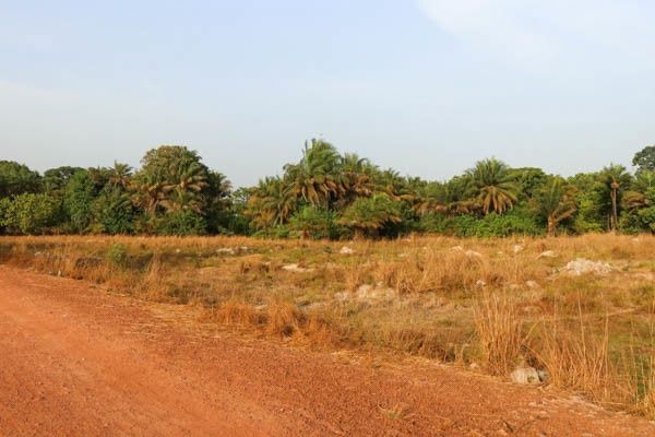 Circuit Sud Sénégal pas cher photo 4