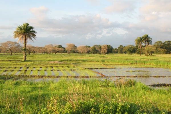 Circuit Sud Sénégal pas cher photo 6