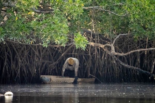 Circuit Sud Sénégal pas cher photo 7