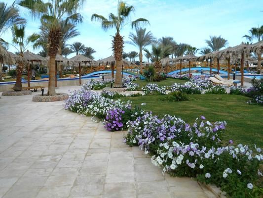Combiné Splendeurs du Nil et Long Beach Resort 4* Hurghada pas cher photo 6