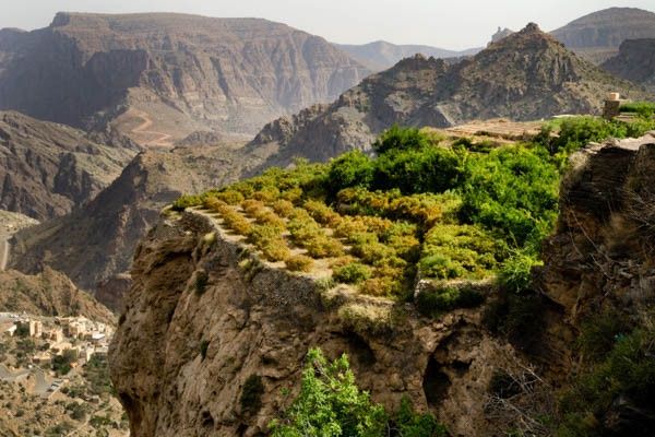 Circuit Toutes les richesses d'Oman pas cher photo 17