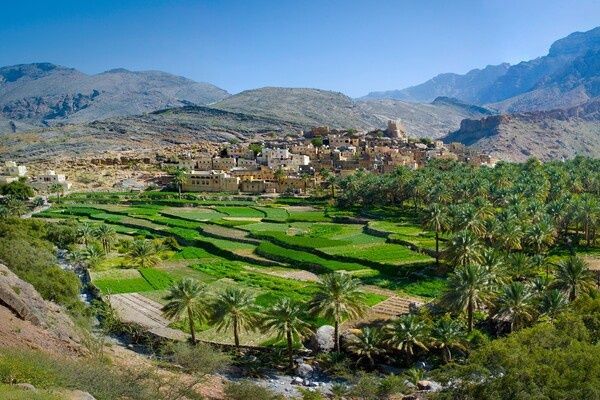 Circuit Oman, terre de traditions pas cher photo 10