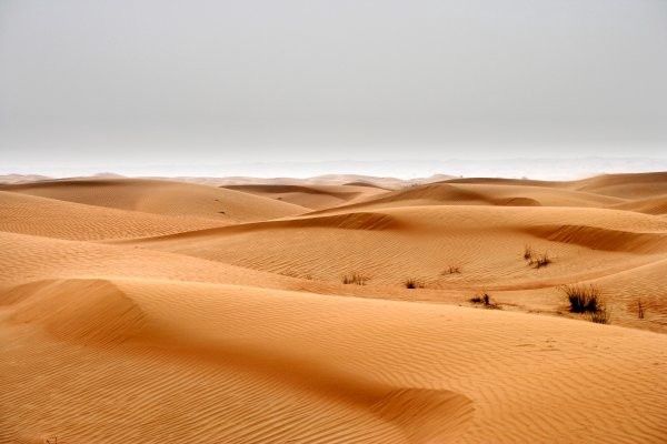 Circuit Oman, terre de traditions pas cher photo 12