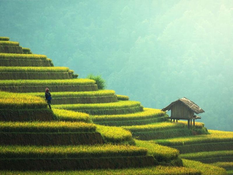Circuit Privatif Le Vietnam Autrement pas cher photo 20
