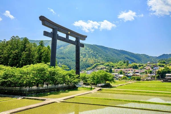 Circuit Traditions et culture du Japon 3* pas cher photo 8