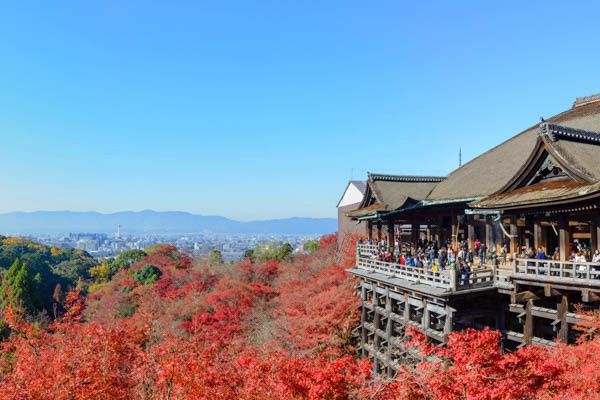 Circuit Traditions et culture du Japon 3* pas cher photo 20