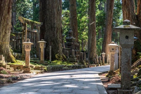 Circuit Traditions et culture du Japon 3* pas cher photo 29