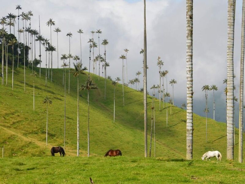 Circuit Evasion Colombienne (en petit groupe) & extension Isla Baru pas cher photo 4