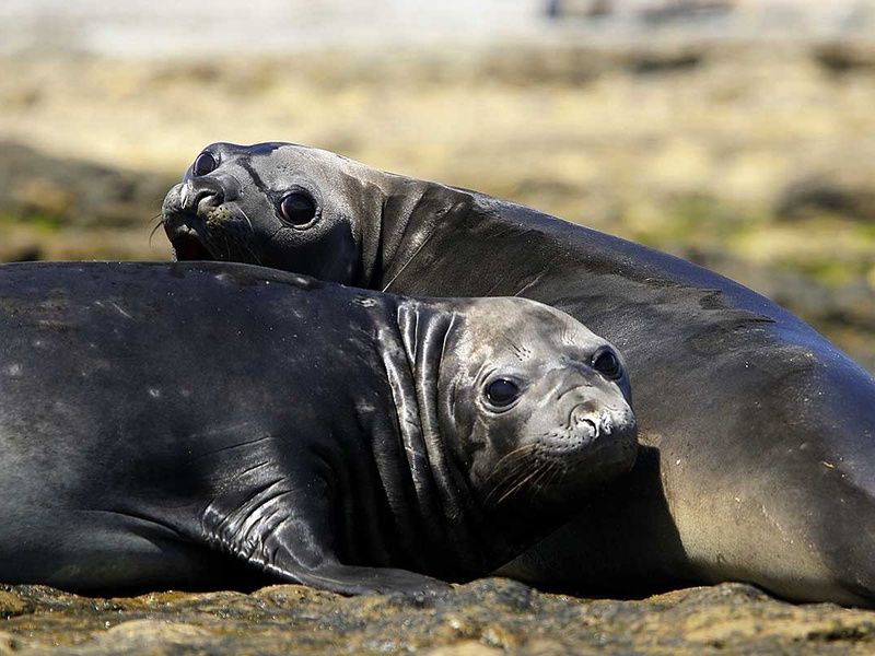 Circuit Sublime Argentine pas cher photo 7