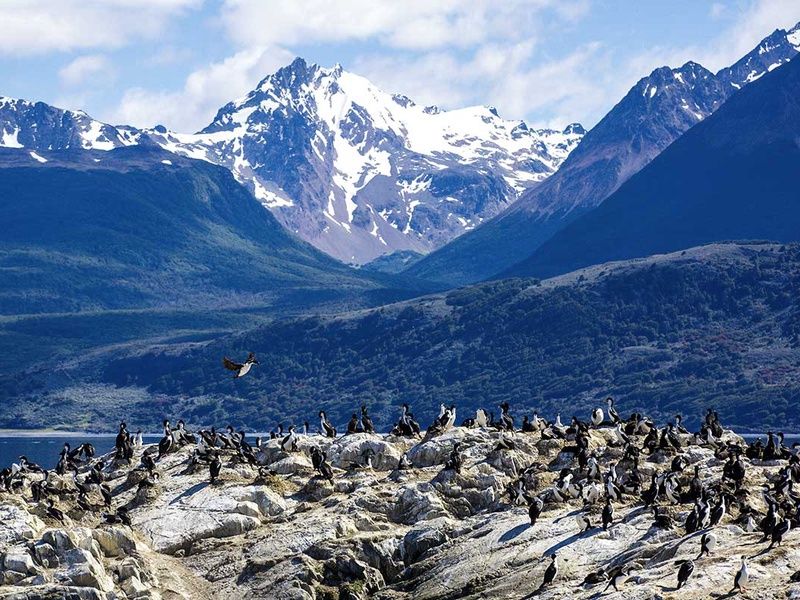 Circuit Sublime Argentine pas cher photo 8