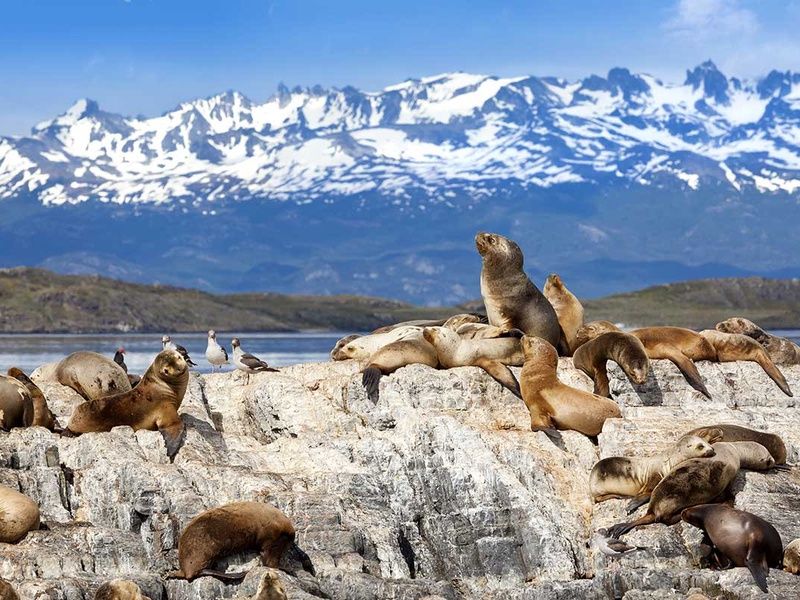 Circuit Sublime Argentine pas cher photo 9