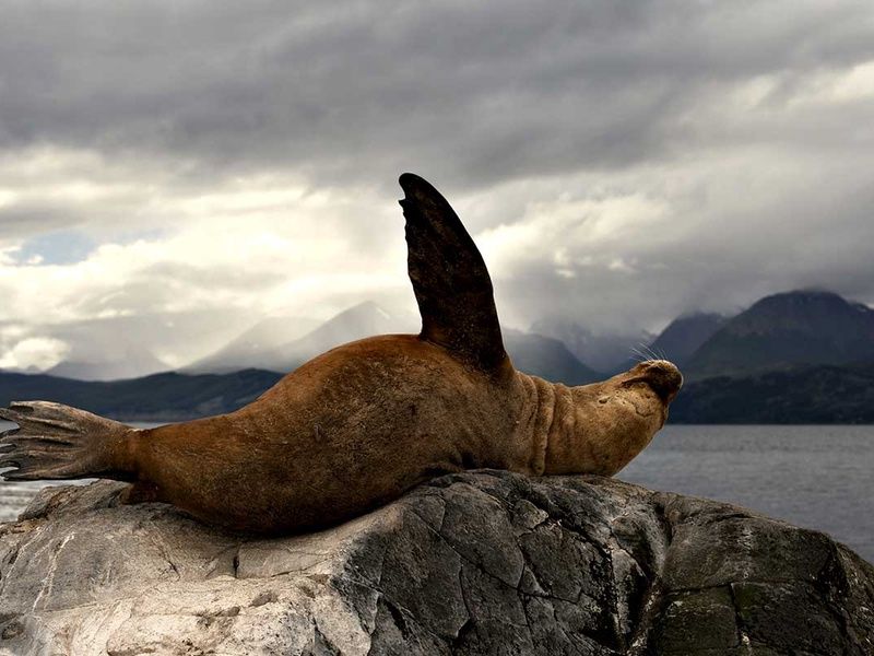 Circuit Sublime Argentine pas cher photo 11