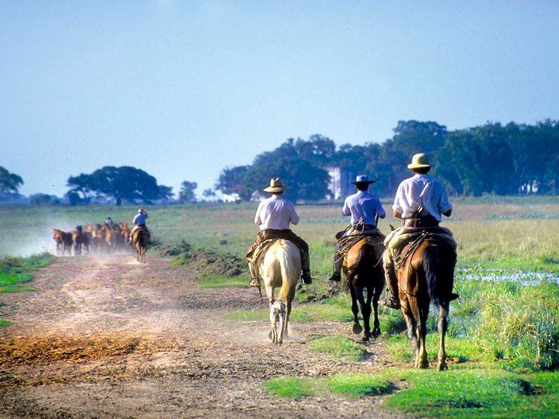 Circuit De l'Argentine au Chili pas cher photo 7
