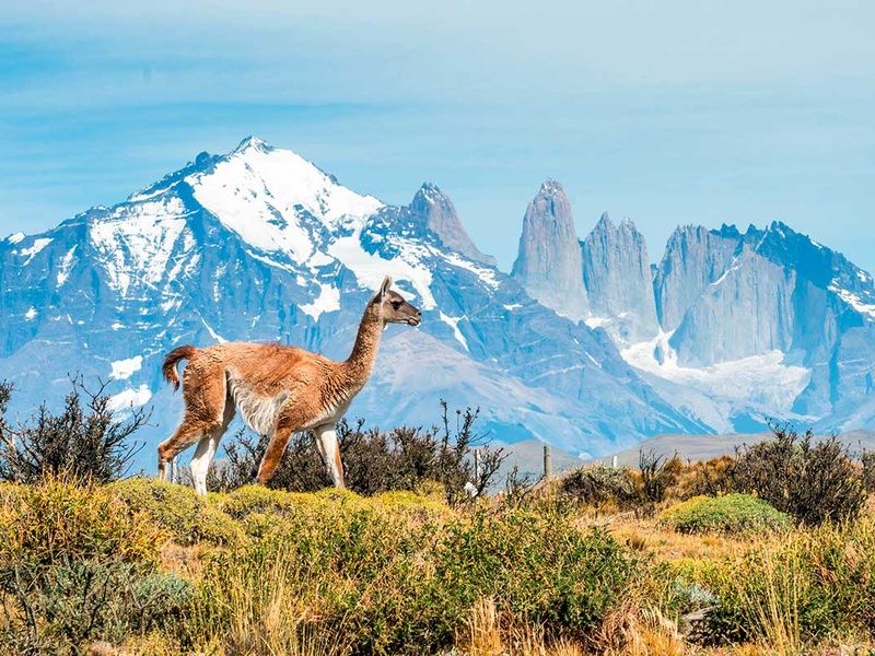 Circuit De l'Argentine au Chili pas cher photo 17