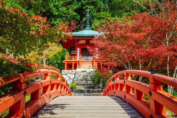 Circuit De Séoul à Tokyo, histoire et traditions 3* pas cher photo 12