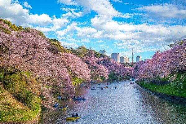 Circuit De Séoul à Tokyo, histoire et traditions 3* pas cher photo 15