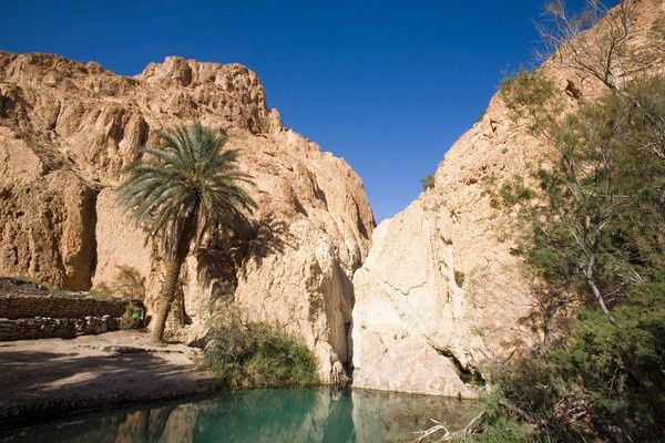 Circuit Sensations dans le sud tunisien en 4x4 4* pas cher photo 8