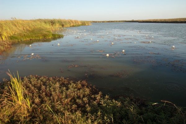 Circuit Trésors du Sénégal pas cher photo 8