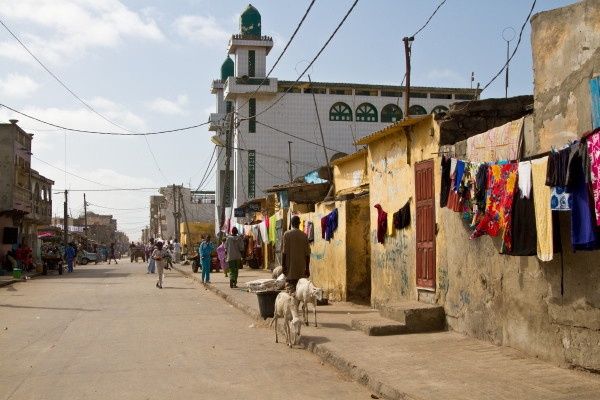 Circuit Les Oasis du Sénégal en privatif 3* pas cher photo 19