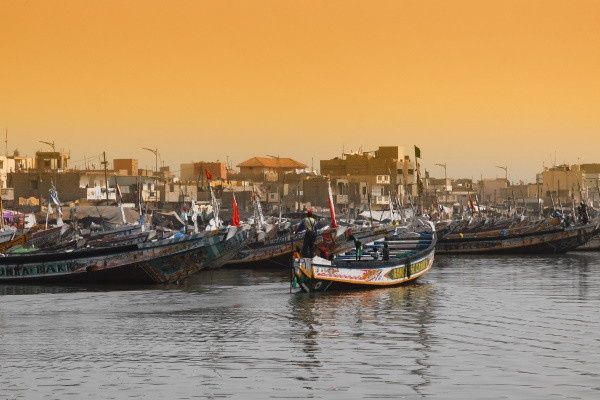 Circuit Les Oasis du Sénégal en privatif 3* pas cher photo 22
