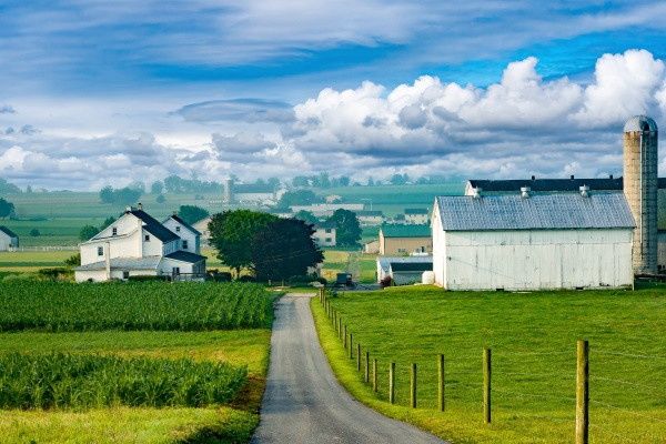Circuit Couleurs du Canada et de l'Est américain pas cher photo 24