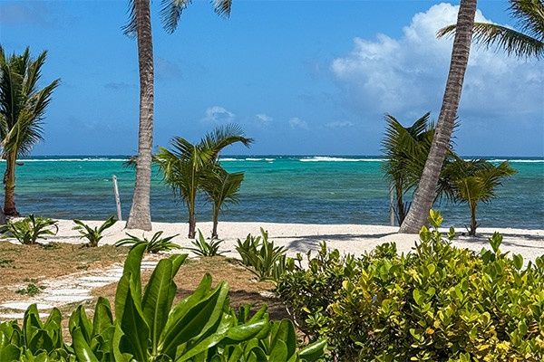 Circuit Entre civilisations aztèque et maya (avec 3 nuits au Framissima Évasion Tulum Riviera) 4* pas cher photo 29