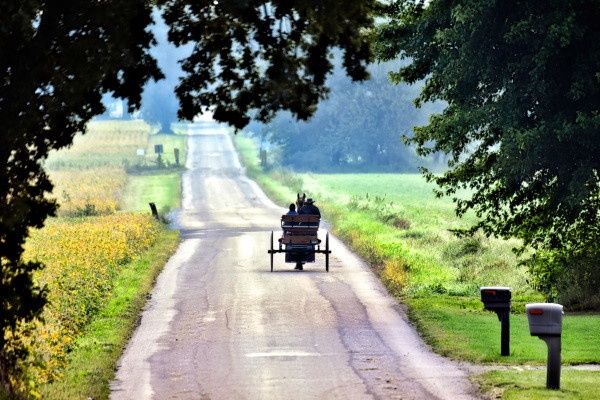 Circuit Beautés du Nord-Est Américain pas cher photo 21