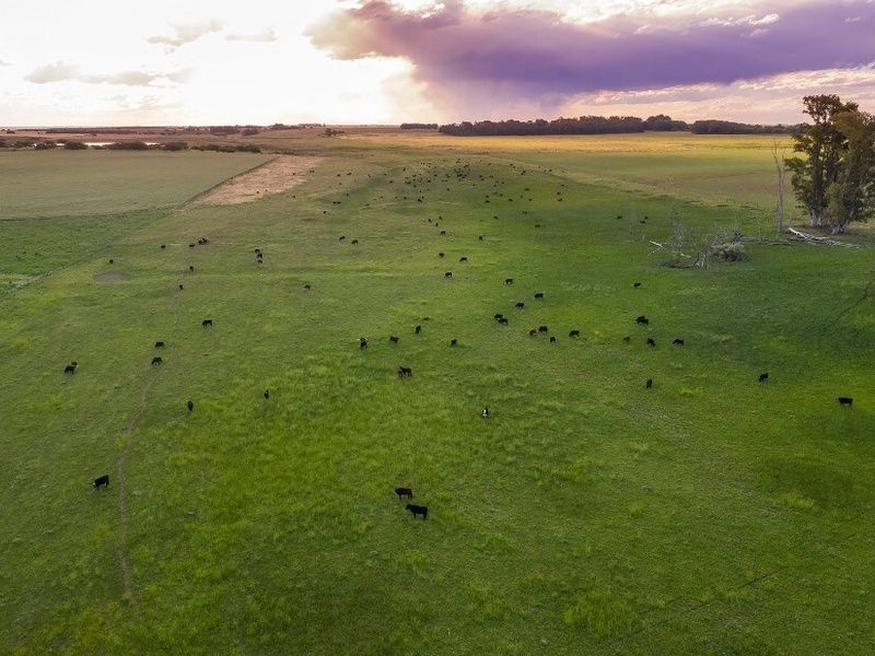 Circuit Privatif Evasion Inoubliable de l'Argentine au Brésil pas cher photo 10