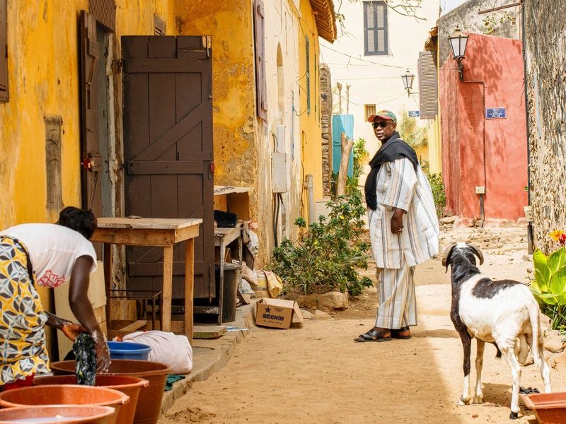 Circuit Au rythme de l'Afrique de l'Ouest : le Sénégal, terre de contrastes pas cher photo 4