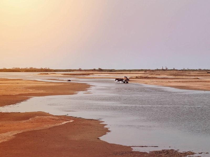 Circuit Au rythme de l'Afrique de l'Ouest : le Sénégal, terre de contrastes pas cher photo 10