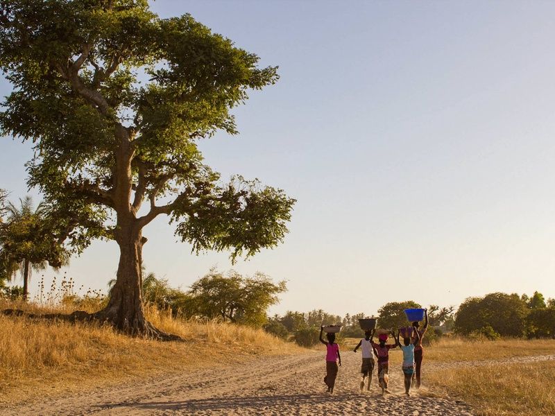Circuit Au rythme de l'Afrique de l'Ouest : le Sénégal, terre de contrastes pas cher photo 11