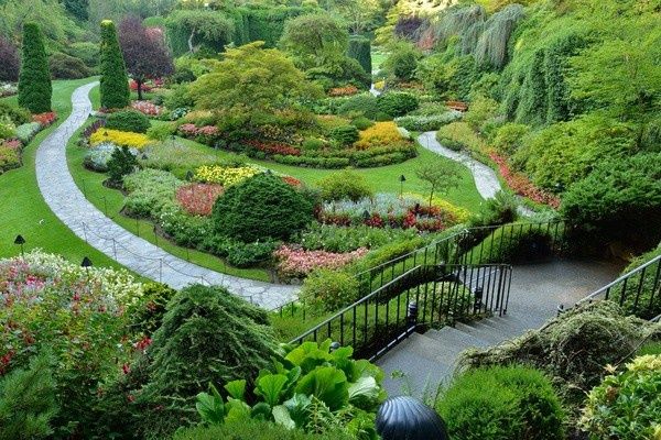 Circuit Rocheuses Canadiennes, la Nature en Grand pas cher photo 9
