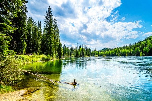 Circuit Rocheuses Canadiennes, la Nature en Grand pas cher photo 11