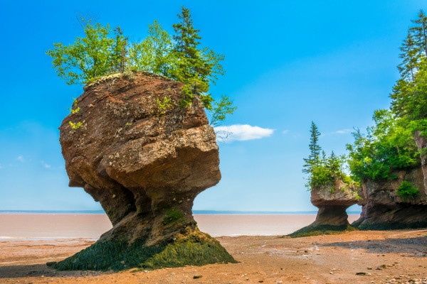 Circuit Tout l'Est Canadien, de l'Ontario à la Gaspésie pas cher photo 24