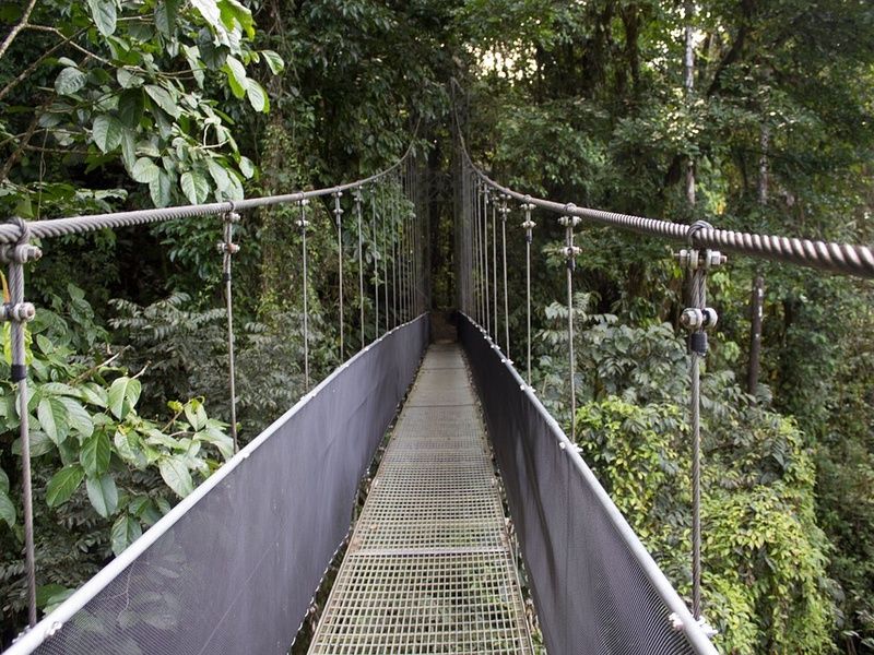 Circuit Liberté des Volcans aux Plages du Pacifique pas cher photo 5