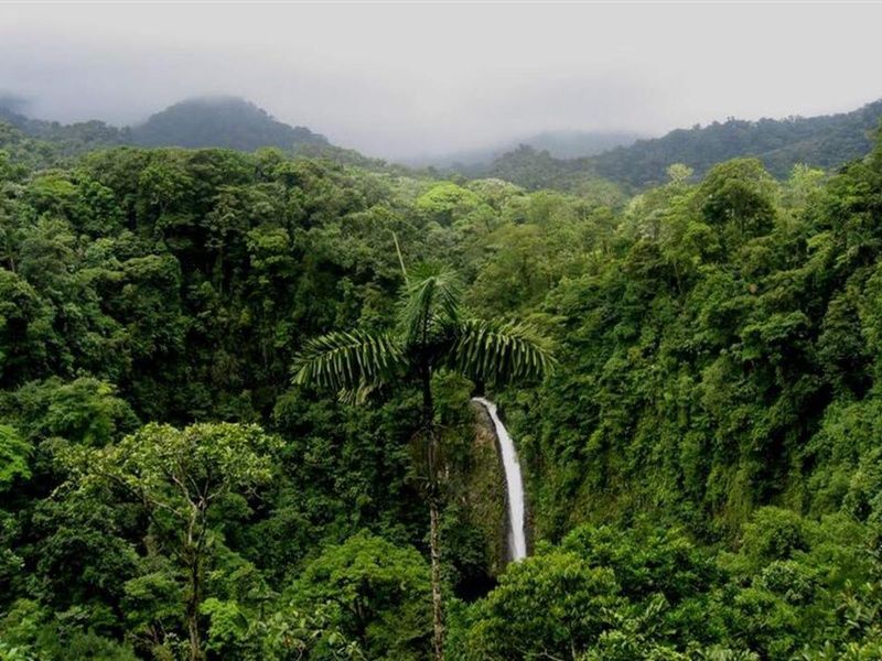 Road Trip Nature & Farniente au Costa Rica pas cher photo 3