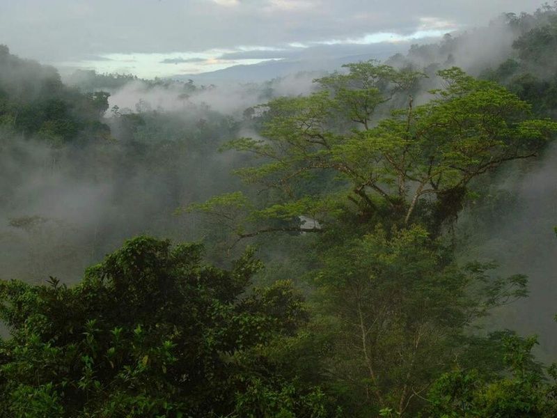 Road Trip Nature & Farniente au Costa Rica pas cher photo 4
