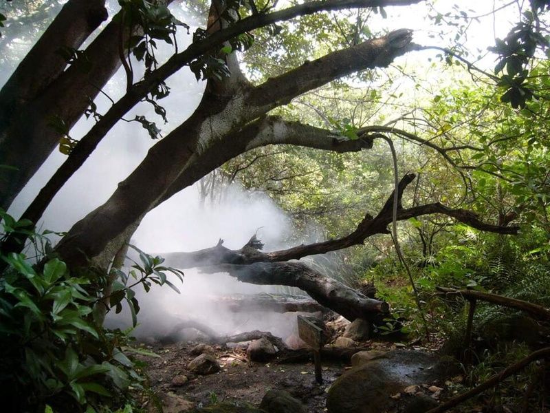 Road Trip Nature & Farniente au Costa Rica pas cher photo 9