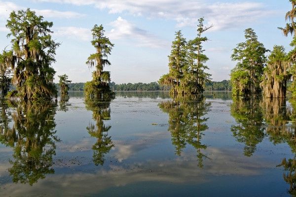 Circuit Coeur de Louisiane, entre Bayous et Plantations pas cher photo 8