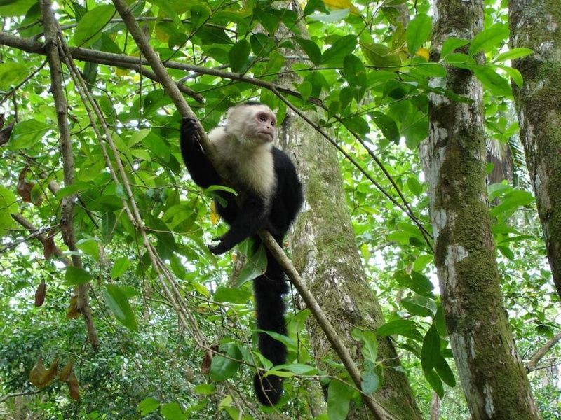 Road Trip Le Costa Rica en famille pas cher photo 12