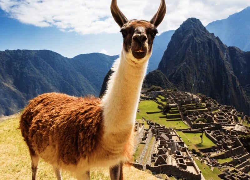 Circuit Evasion au Pérou (petit groupe) & extension Amazonie pas cher photo 13